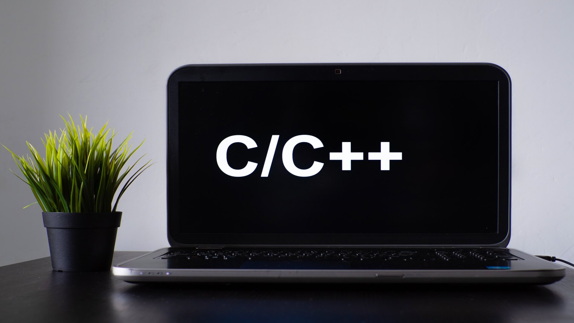 Who are C++ Developers, and How to Become the Best